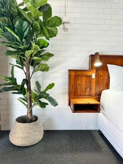 Pacific Sun Bargara Motel